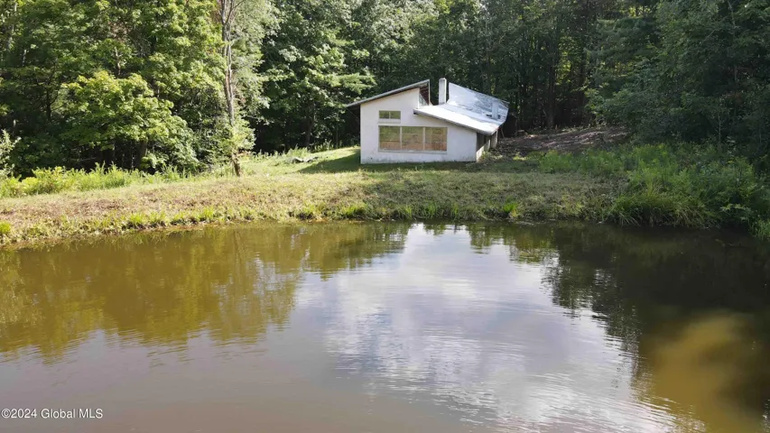 50 Frieda's Hill Lane, Rensselaerville, Ny 12147