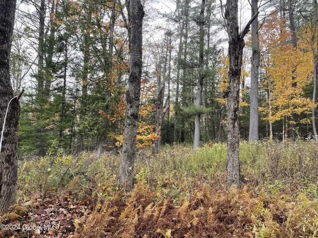 L47.2 Mallon Road, Minerva, Ny 12857