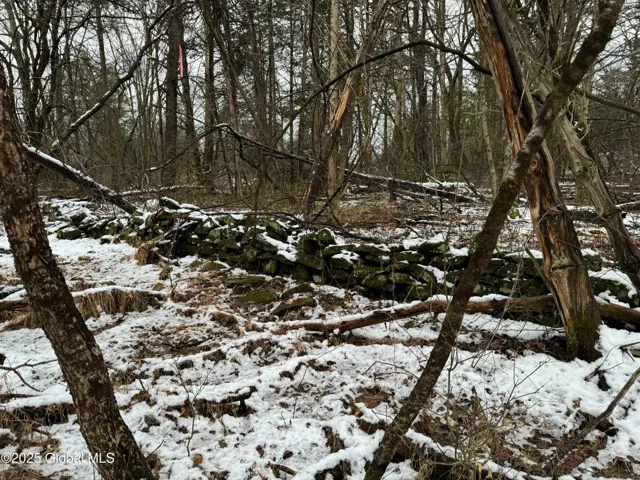 2000 Sleepy Hollow Road, Coxsackie, New York 12015