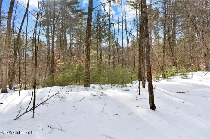 L94 Highview Lane, Lot 10, Johnsburg, Ny 12886