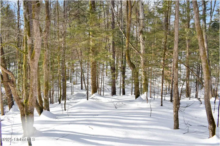 L96 Highview Lane, Lot 12, Johnsburg, Ny 12886