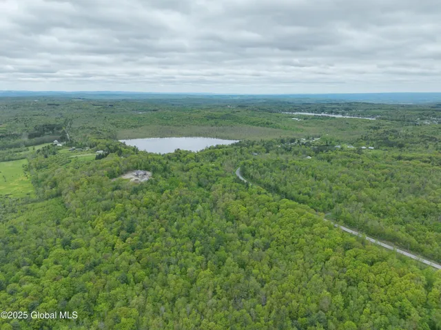 L8.1 Mariaville Road, Princetown, New York 12306