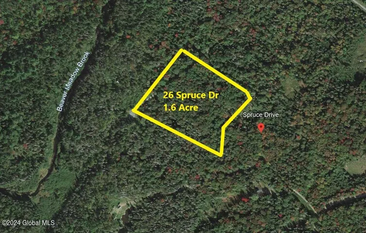 26 Spruce Drive, Indian Lake, New York 12842