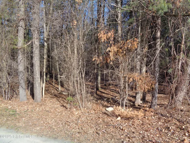 L14.2 Ghents Road, Rotterdam, Ny 12306