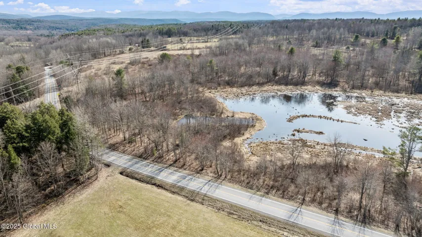 L8.00 Guinea Road, Gilboa, Ny 12076