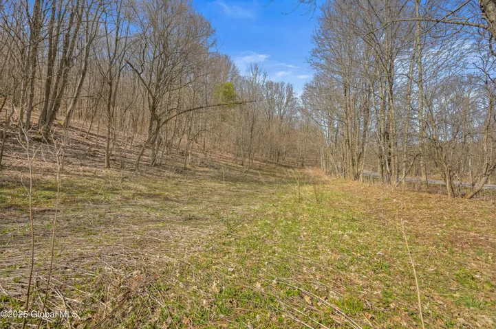 L9.112 Lutheranville Road, Summit, Ny 12175