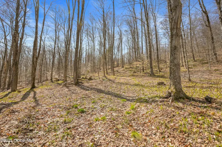 L9.113 Lutheranville Road, Summit, Ny 12175