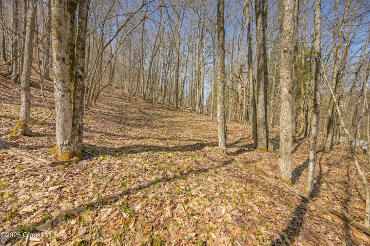 L9.114 Lutheranville Road, Summit, Ny 12175