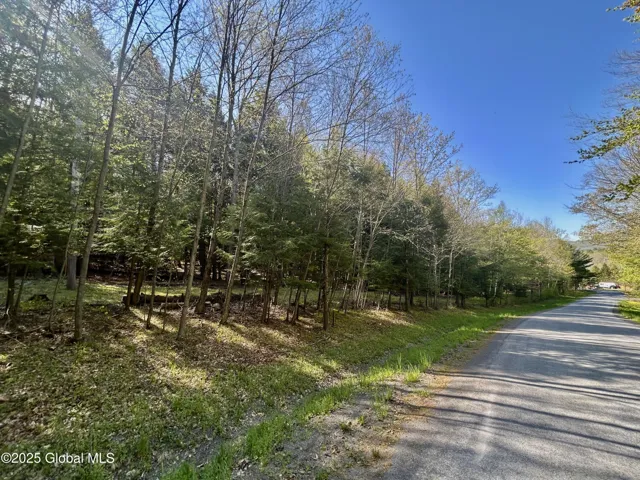 L16 Bruce Porn Road, Gilboa, New York 12167