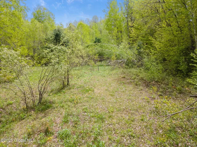 L11 Sternberg Road, Jefferson, New York 12167