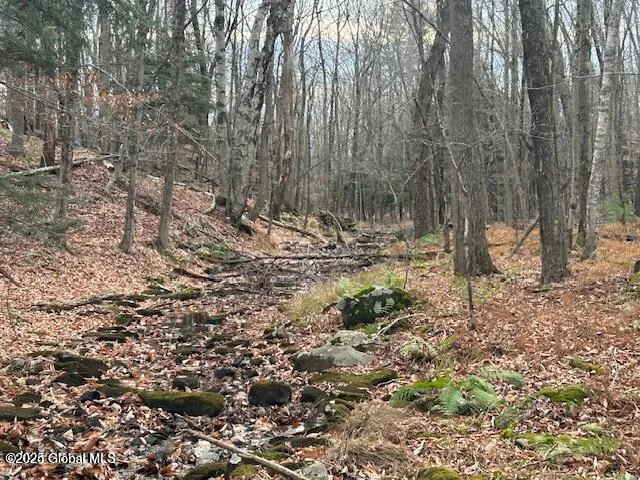 1a Nugent Road, Grafton, New York 12082