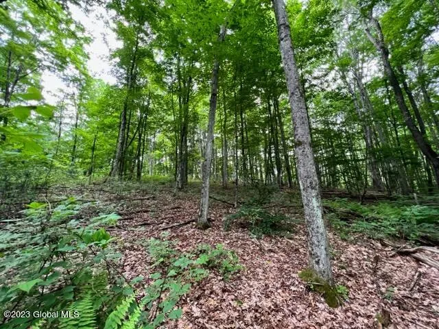 Lot 1 Mcgregor Road, Johnstown, New York 12078
