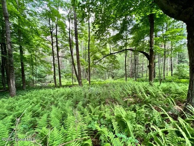 Lot 2 Mcgregor Road, Johnstown, New York 12078