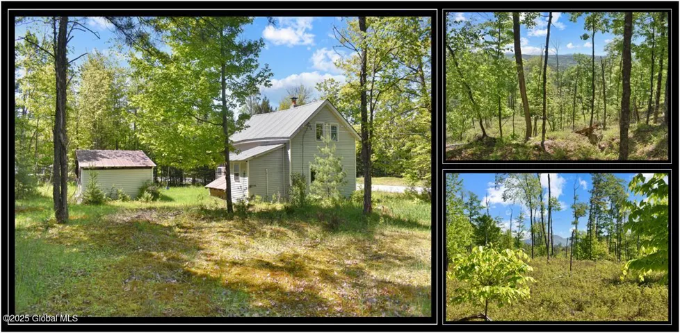 364 Pease Hill Road, Horicon, New York 12815