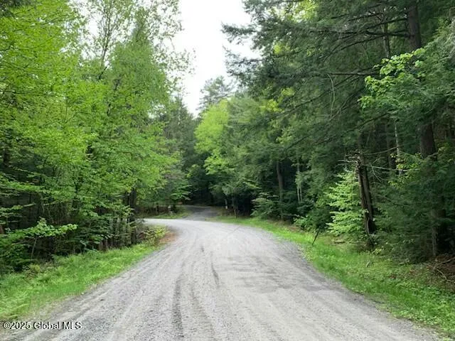 0 Trout Falls Road, Bolton, New York 12814