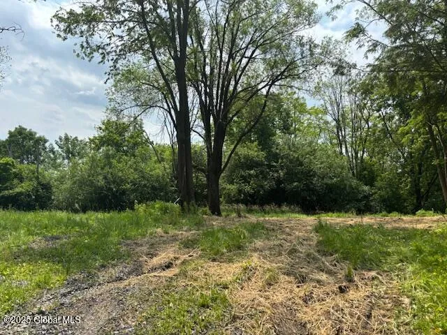 1741 Scotch Ridge Road, Princetown, New York 12056