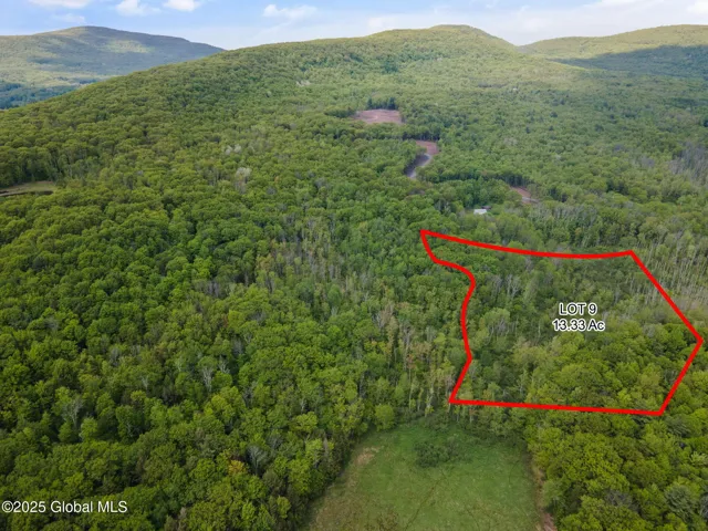 1 Galway Road, Windham, New York 12496
