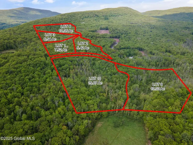 2 Lot Galway Rd, Windham, New York 12496