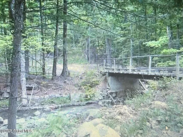 L1.2 Trout Brook Road, Hague, New York 12836