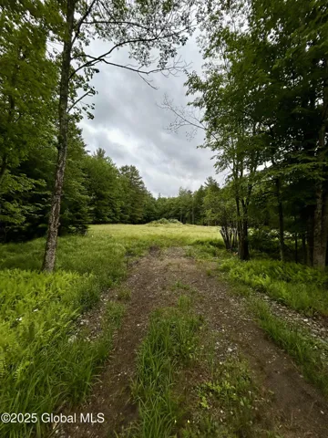 L1 Persch Road, Bleecker, New York 12078