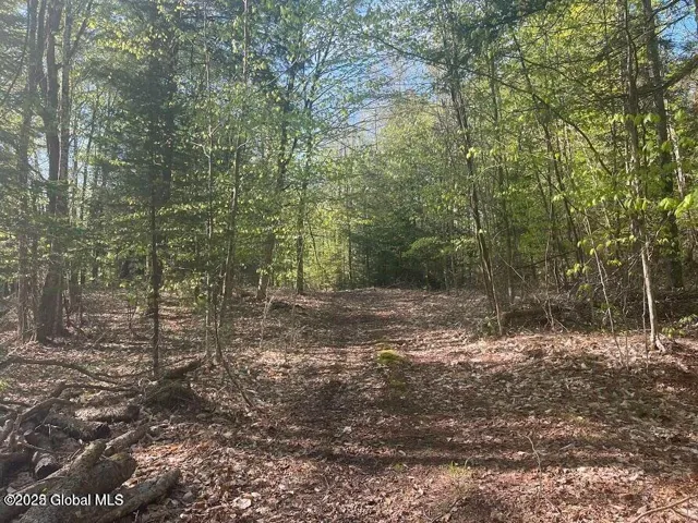 L12 Adirondack Heights Road, Chester, New York 12817