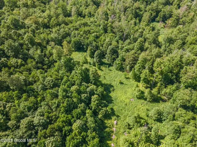 L4 Harvish Road, Jefferson, New York 12167
