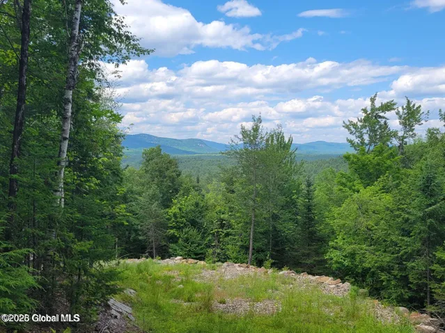 15 Lost Mine Road, Johnsburg, New York 12853