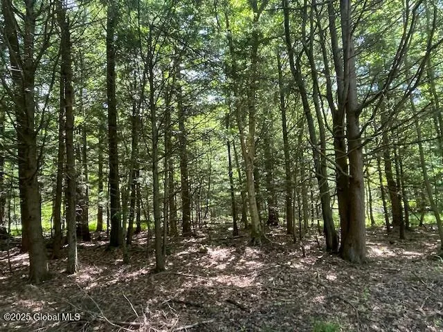204 Bauer Road, Sand Lake, New York 12018