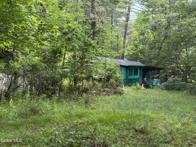 11 Cozy Hollow Road, Prattsville, New York 12468
