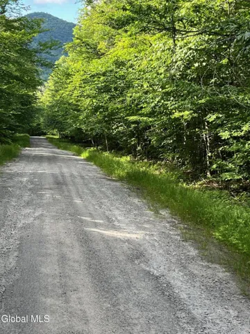 L46181112 Ruby Mountain View Drive, Johnsburg, New York 12856