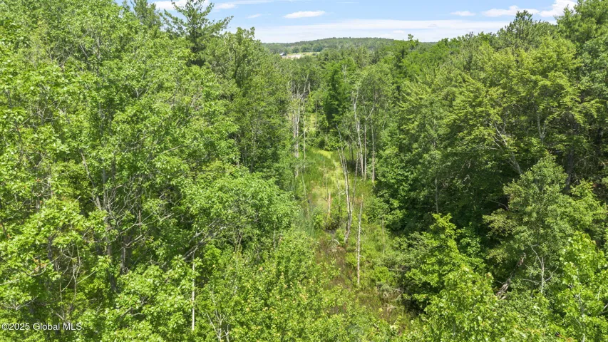 5521 Depot Road, Voorheesville, New York 12186