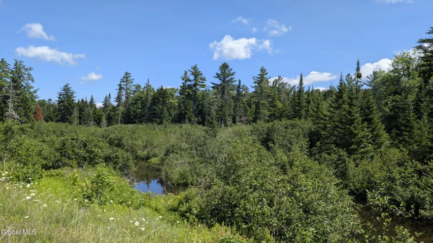 10279 Adirondack Trail, Malone, New York 12953