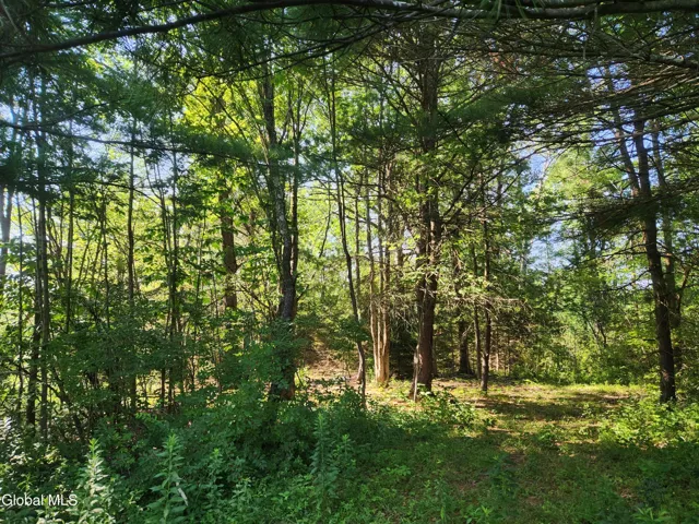 Lot 4 Skyline Drive, Delanson, New York 12053