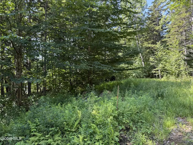 120 Jim's Hill Road, Lake Pleasant, New York 12108