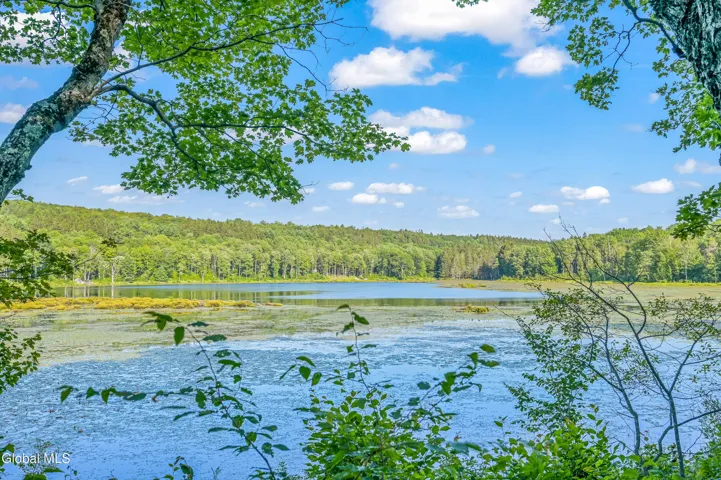 L11.11 Rossman Valley Road, Summit, New York 12175