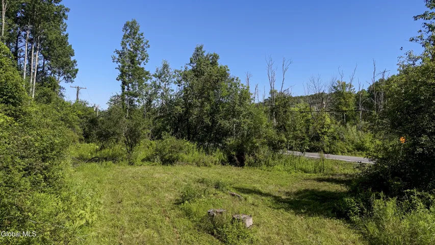 5603 Grant Hill Road, Voorheesville, New York 12186