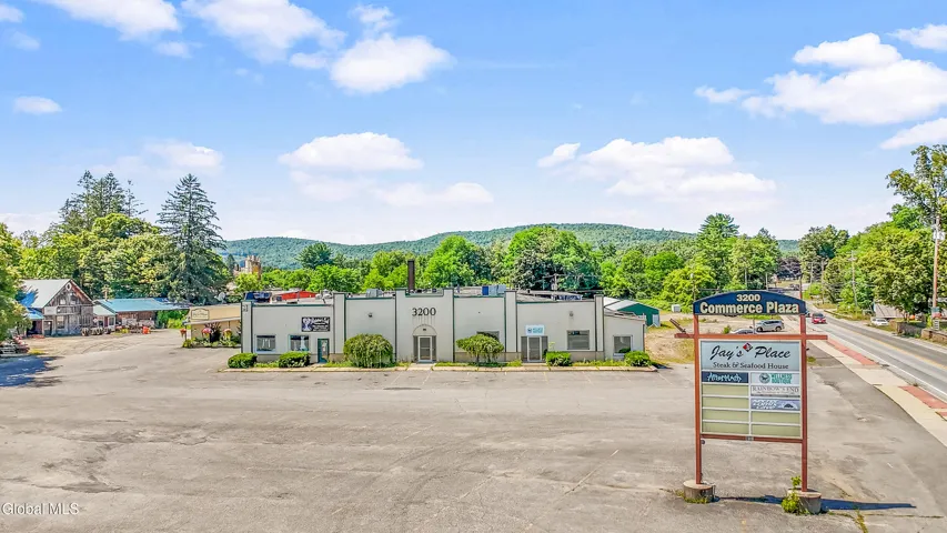 449 Chestnut St Street, Oneonta, New York 13820