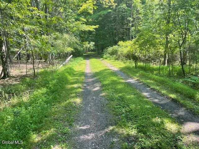 00000 Off Gayhead Earlton Road, Greenville, New York 12083
