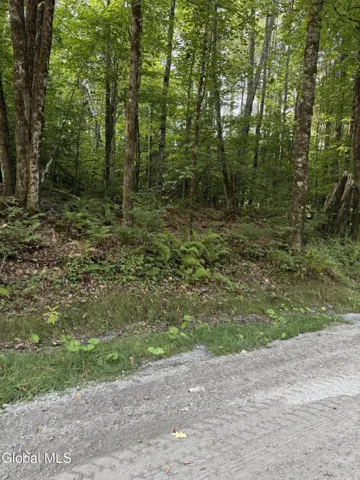 362 Dickinson Hill Road, Bolton, New York 12824
