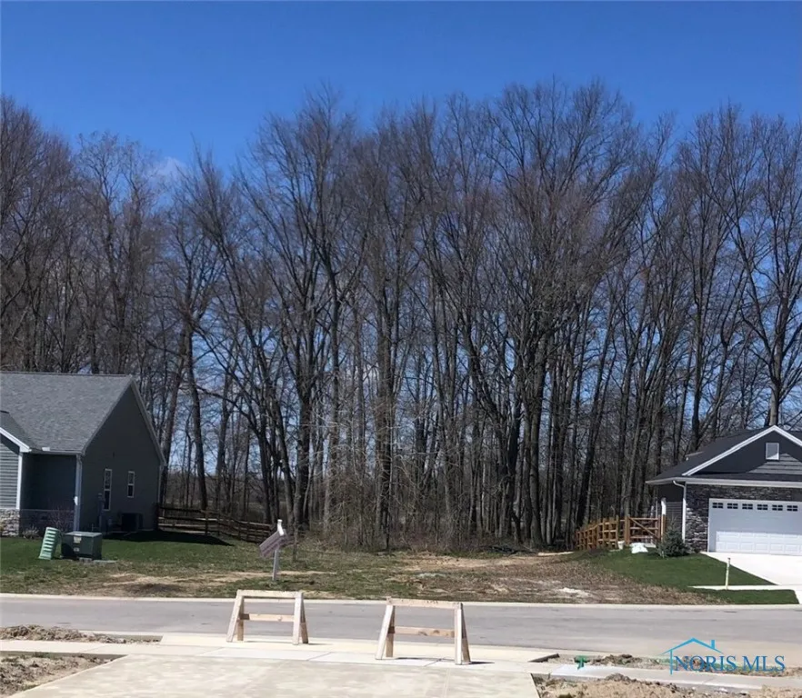 7002 Red Stag Court, Whitehouse, Ohio 43571, ,Land,For Sale,Red Stag,6091544