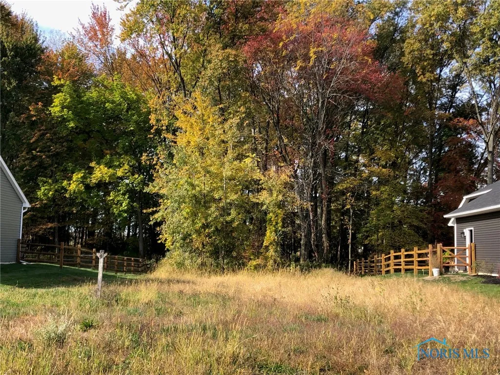7002 Red Stag Court, Whitehouse, Ohio 43571, ,Land,For Sale,Red Stag,6091544