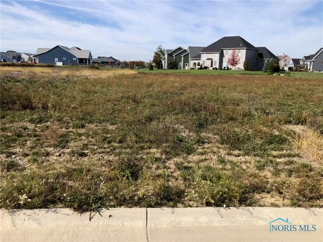 6316 Pimlico Road, Whitehouse, Ohio 43571, ,Land,For Sale,Pimlico,6092617