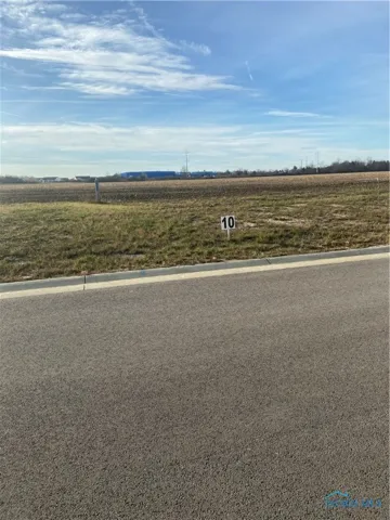 10317 Witte Walk, Whitehouse, Ohio 43571, ,Land,For Sale,Witte Walk,6111542