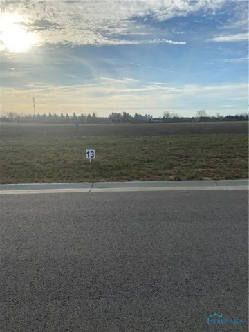 10249 Witte Walk, Whitehouse, Ohio 43571, ,Land,For Sale,Witte Walk,6111544