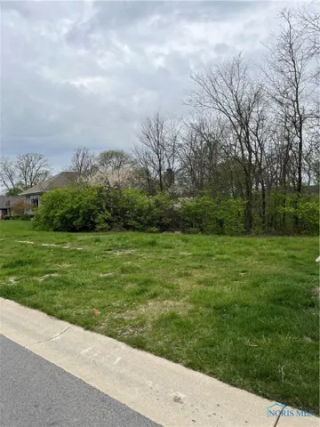 15672 River View Place, Perrysburg, Ohio 43551, ,Land,For Sale,River View,6114418