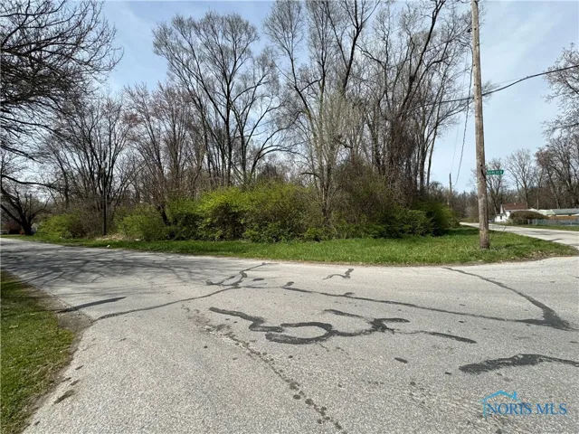 127 N Dorcas Road, Toledo, Ohio 43615, ,Land,For Sale,Dorcas,6114706