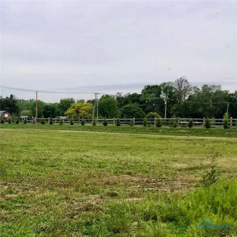 5542 Olive Tree Lane, Monclova, Ohio 43542, ,Land,For Sale,Olive Tree,6114986