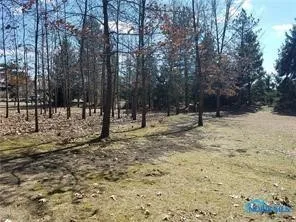 6312 Brint Road, Sylvania, Ohio 43560, ,Land,For Sale,Brint,6120814