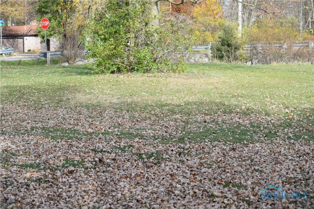 0 Wall Street, Tontogany, Ohio 43565, ,Land,For Sale,Wall,6122728