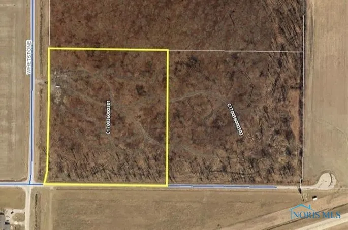 12885 Whetstone Road, Defiance, Ohio 43512, ,Land,For Sale,Whetstone,6127841
